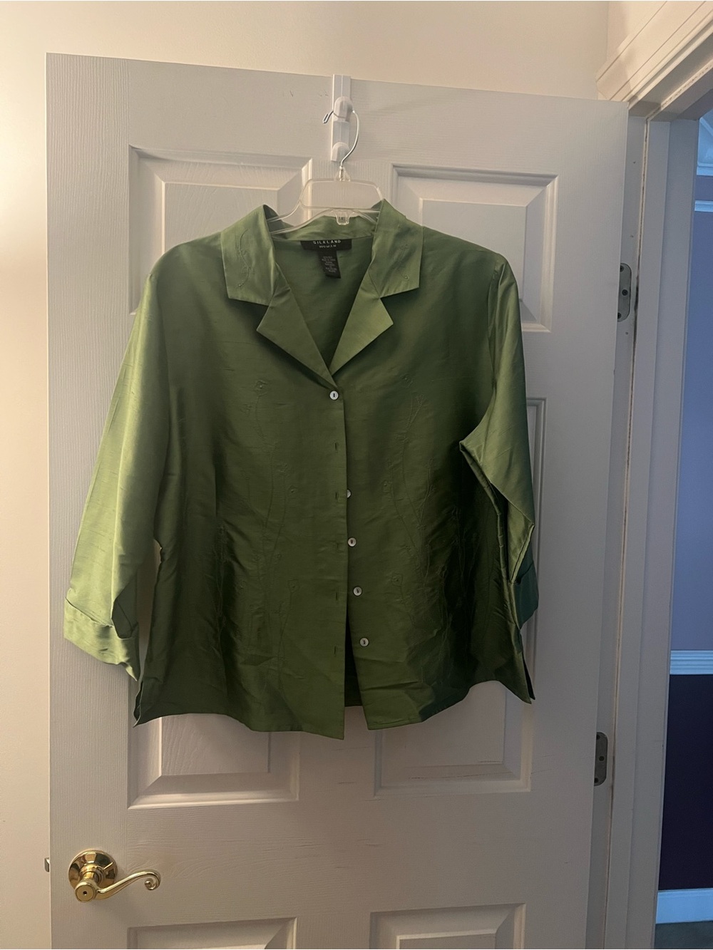 Silkland Woman 100% Silk Green Button Front Blouse